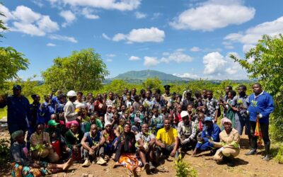 Castel Malawi Leads Nationwide Tree Planting Drive